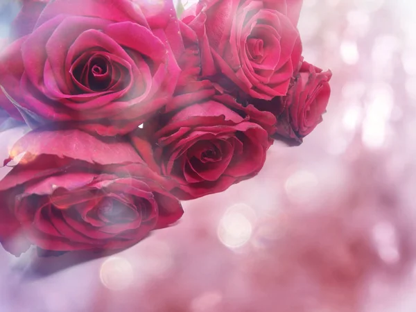 Czerwone róże Walentynki miłość tło — Zdjęcie stockowe
