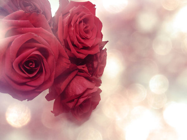 Love valentine's day with red roses flowers on shiny background