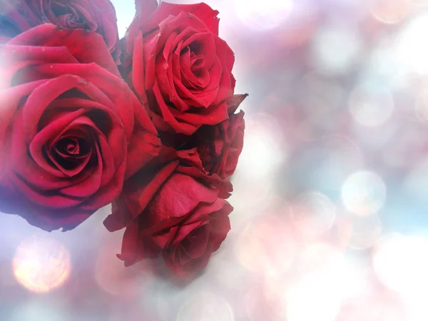Червоні троянди день Валентина любовний фон — стокове фото