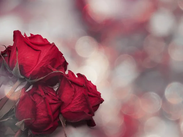 Rote Rosen Valentinstag Liebe Hintergrund — Stockfoto