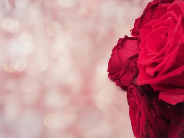 Czerwone róże Walentynki miłość tło — Zdjęcie stockowe