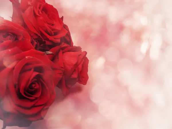 Rote Rosen Valentinstag Liebe Hintergrund — Stockfoto