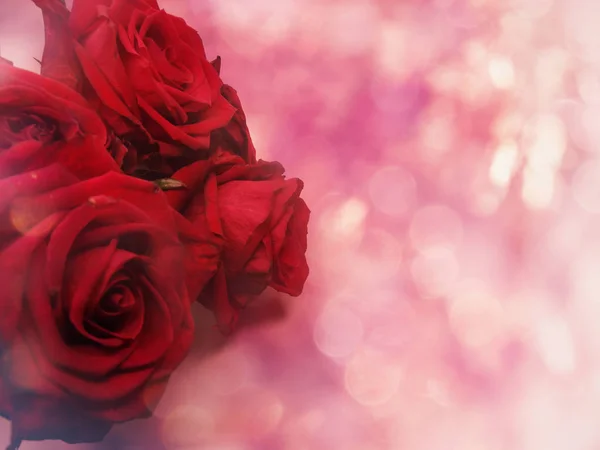 Red roses valentine's day love background — Stock Photo, Image