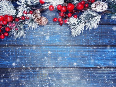 köknar dalları konileri ve kar ile kış arka plan