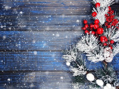 köknar dalları konileri ve kar ile kış arka plan