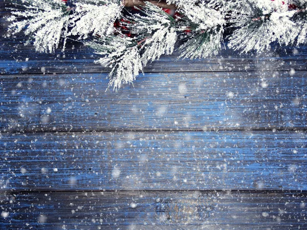 Vinter bakgrund med Gran grenar kottar och snö — Stockfoto