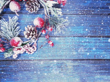 köknar dalları konileri ve kar ile kış arka plan