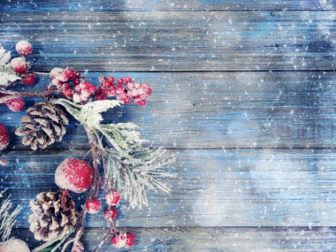 köknar dalları konileri ve kar ile kış arka plan