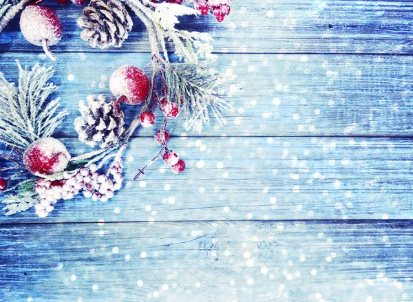 köknar dalları konileri ve kar ile kış arka plan