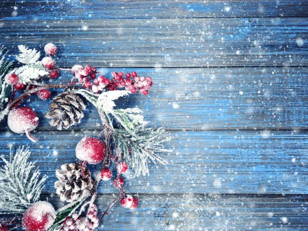 Vinter bakgrund med Gran grenar kottar och snö — Stockfoto