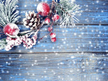 köknar dalları konileri ve kar ile kış arka plan