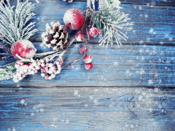 Vinter bakgrund med Gran grenar kottar och snö — Stockfoto