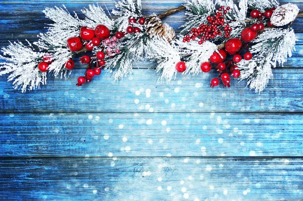 köknar dalları konileri ve kar ile kış arka plan