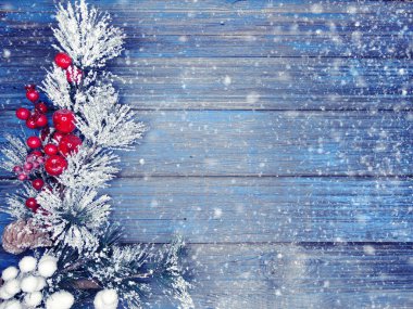 köknar dalları konileri ve kar ile kış arka plan