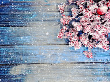 köknar dalları konileri ve kar ile kış arka plan