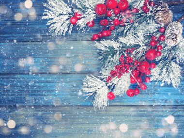 köknar dalları konileri ve kar ile kış arka plan