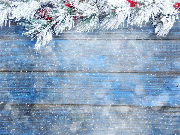 köknar dalları konileri ve kar ile kış arka plan