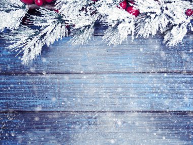 köknar dalları konileri ve kar ile kış arka plan