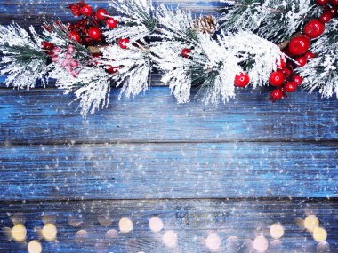 köknar dalları konileri ve kar ile kış arka plan