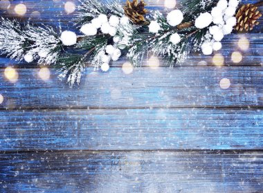 köknar dalları konileri ve kar ile kış arka plan