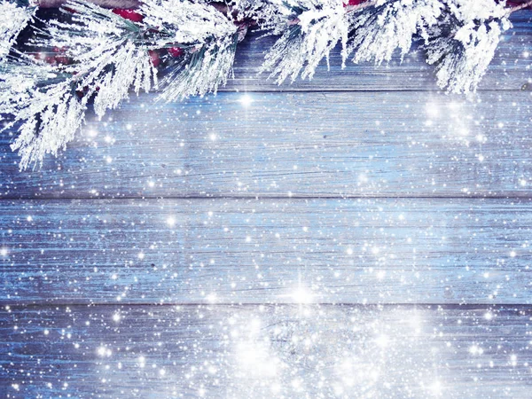 köknar dalları konileri ve kar ile kış arka plan