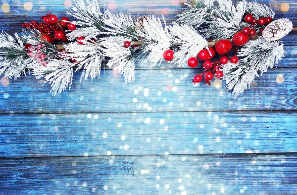 Winter background with fir branches cones and snow — Stock Photo, Image