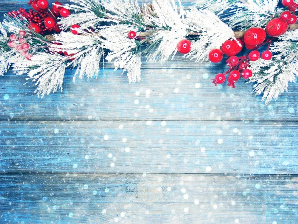 köknar dalları konileri ve kar ile kış arka plan