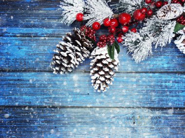 köknar dalları konileri ve kar ile kış arka plan