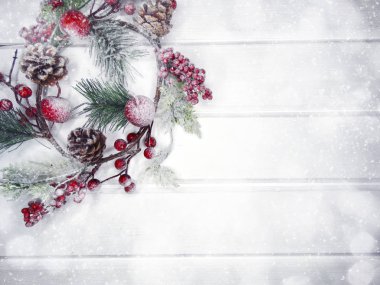 köknar dalları konileri ve kar ile kış arka plan