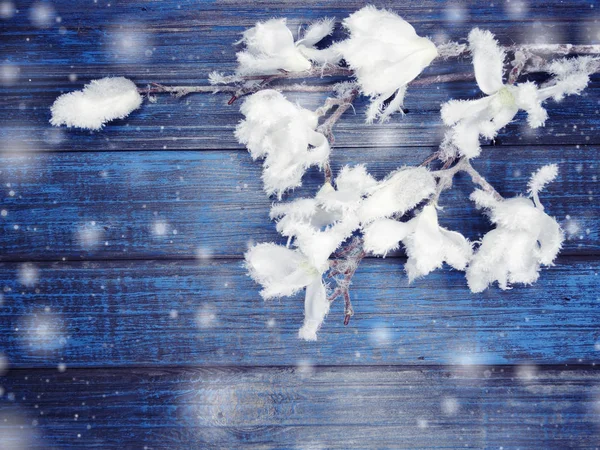 Zimní pozadí s jedle větvemi hlávky a sníh — Stock fotografie