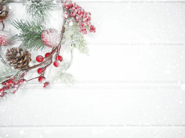 Zimní pozadí s jedle větvemi hlávky a sníh — Stock fotografie