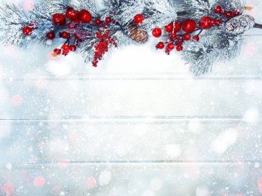 köknar dalları konileri ve kar ile kış arka plan