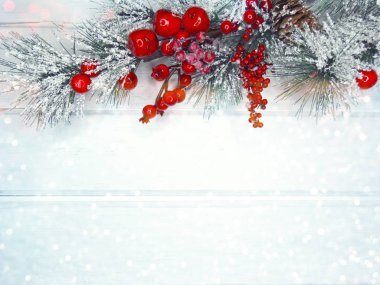 köknar dalları konileri ve kar ile kış arka plan