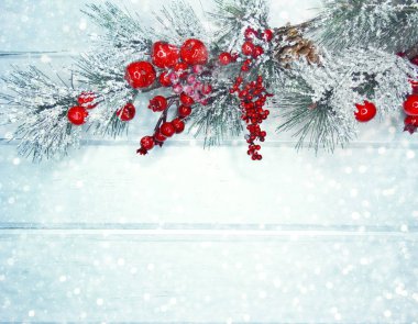 köknar dalları konileri ve kar ile kış arka plan