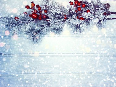 köknar dalları konileri ve kar ile kış arka plan