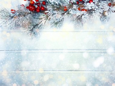 köknar dalları konileri ve kar ile kış arka plan