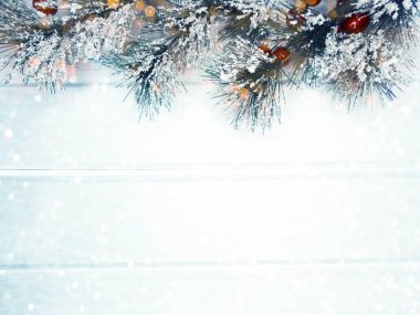 köknar dalları konileri ve kar ile kış arka plan