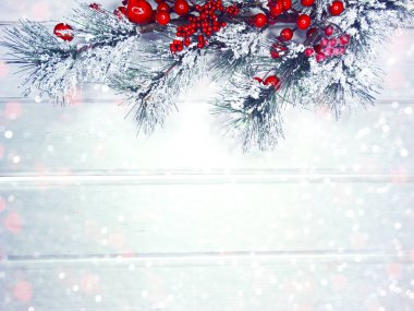 köknar dalları konileri ve kar ile kış arka plan