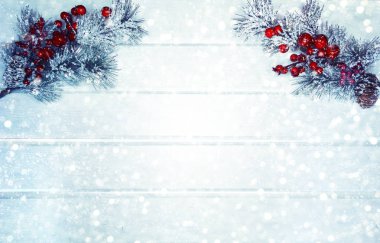 köknar dalları konileri ve kar ile kış arka plan