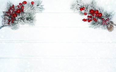 köknar dalları konileri ve kar ile kış arka plan