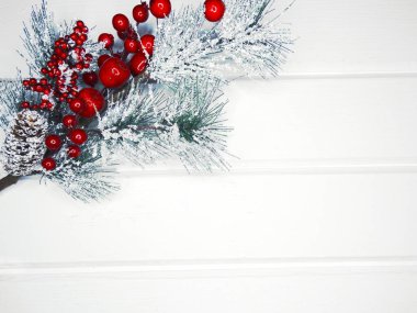 köknar dalları konileri ve kar ile kış arka plan