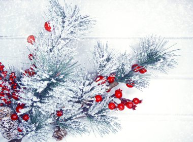 köknar dalları konileri ve kar ile kış arka plan