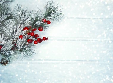 köknar dalları konileri ve kar ile kış arka plan