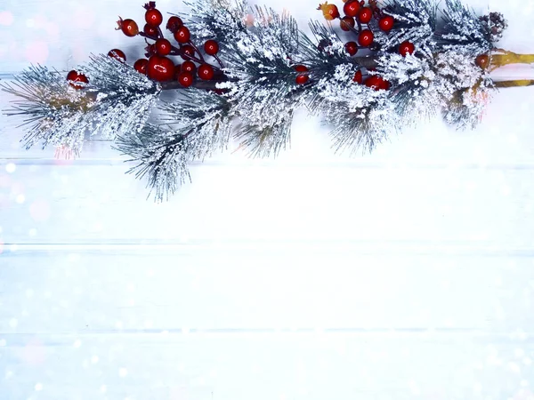 Χειμερινό φόντο με κλαδιά ελάτων κώνους και χιόνι — Φωτογραφία Αρχείου