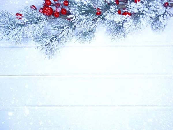 köknar dalları konileri ve kar ile kış arka plan