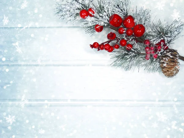 köknar dalları konileri ve kar ile kış arka plan