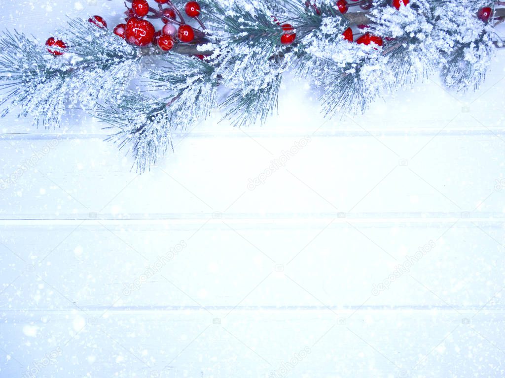 winter background with fir branches cones and snow