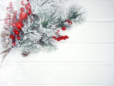 köknar dalları konileri ve kar ile kış arka plan