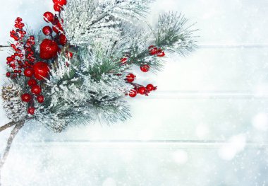 köknar dalları konileri ve kar ile kış arka plan