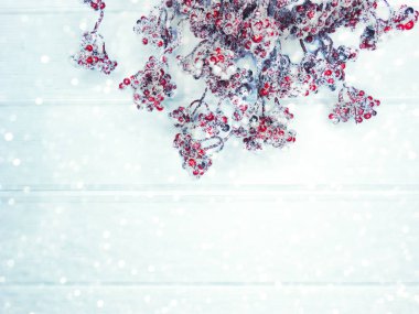 köknar dalları konileri ve kar ile kış arka plan